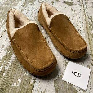 UGG Ascot